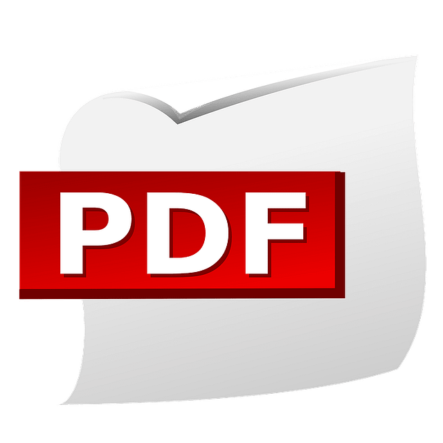pdf document